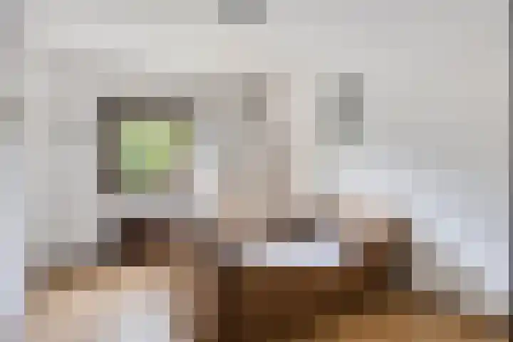 Eerste Morgen 12 's-Hertogenbosch thumbnail 21