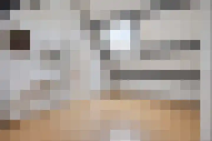 Eerste Morgen 12 's-Hertogenbosch thumbnail 26