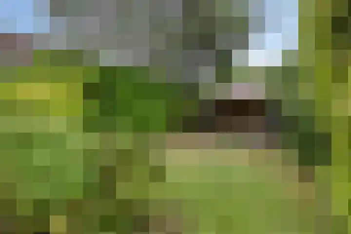 Eerste Morgen 12 's-Hertogenbosch thumbnail 27