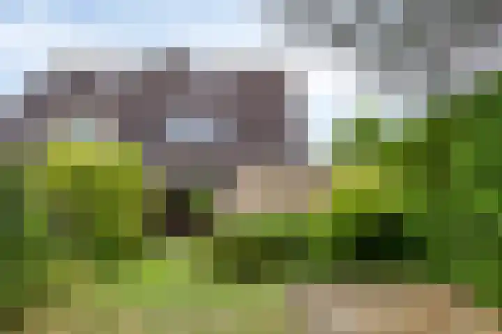 Eerste Morgen 12 's-Hertogenbosch thumbnail 28