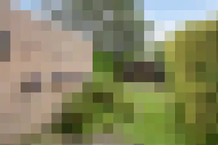 Eerste Morgen 12 's-Hertogenbosch thumbnail 29