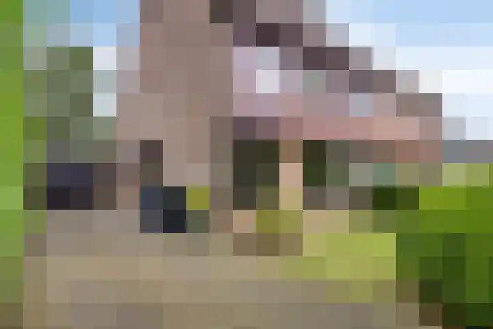 Eerste Morgen 12 's-Hertogenbosch thumbnail 30