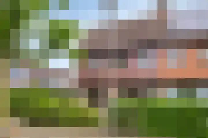 Eerste Morgen 12 's-Hertogenbosch thumbnail 32