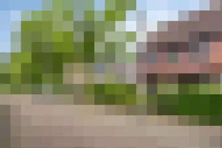 Eerste Morgen 12 's-Hertogenbosch thumbnail 33