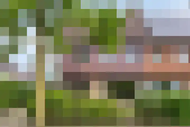 Eerste Morgen 12 's-Hertogenbosch thumbnail 34
