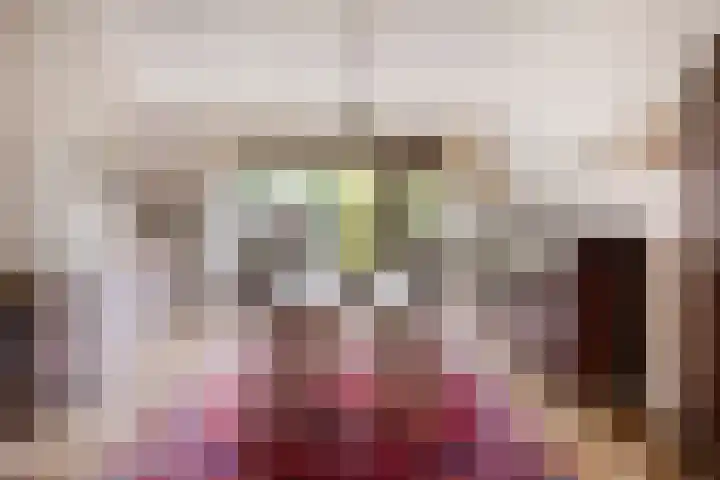 Eerste Morgen 12 's-Hertogenbosch thumbnail 7