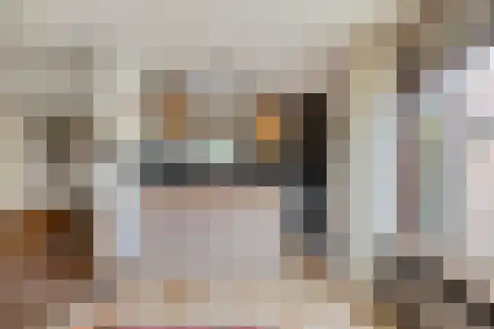 Eerste Morgen 12 's-Hertogenbosch thumbnail 9