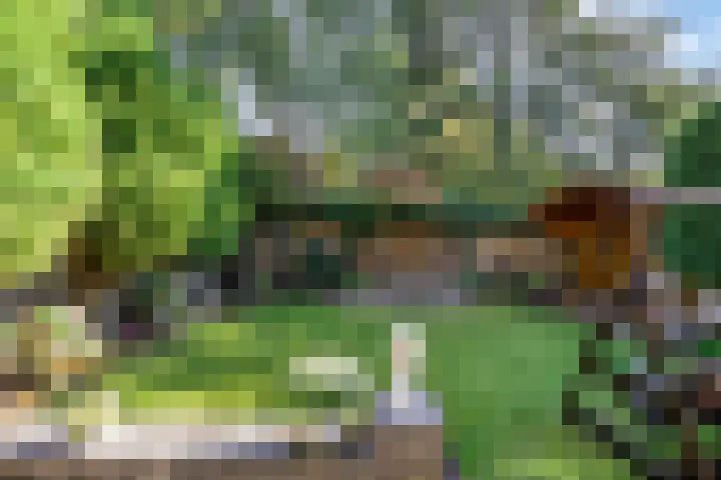 Eerste Morgen 13 's-Hertogenbosch thumbnail 11