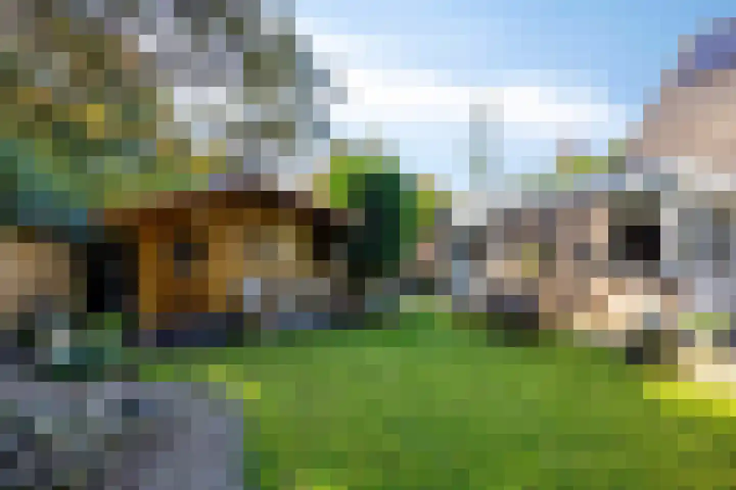 Eerste Morgen 13 's-Hertogenbosch thumbnail 12