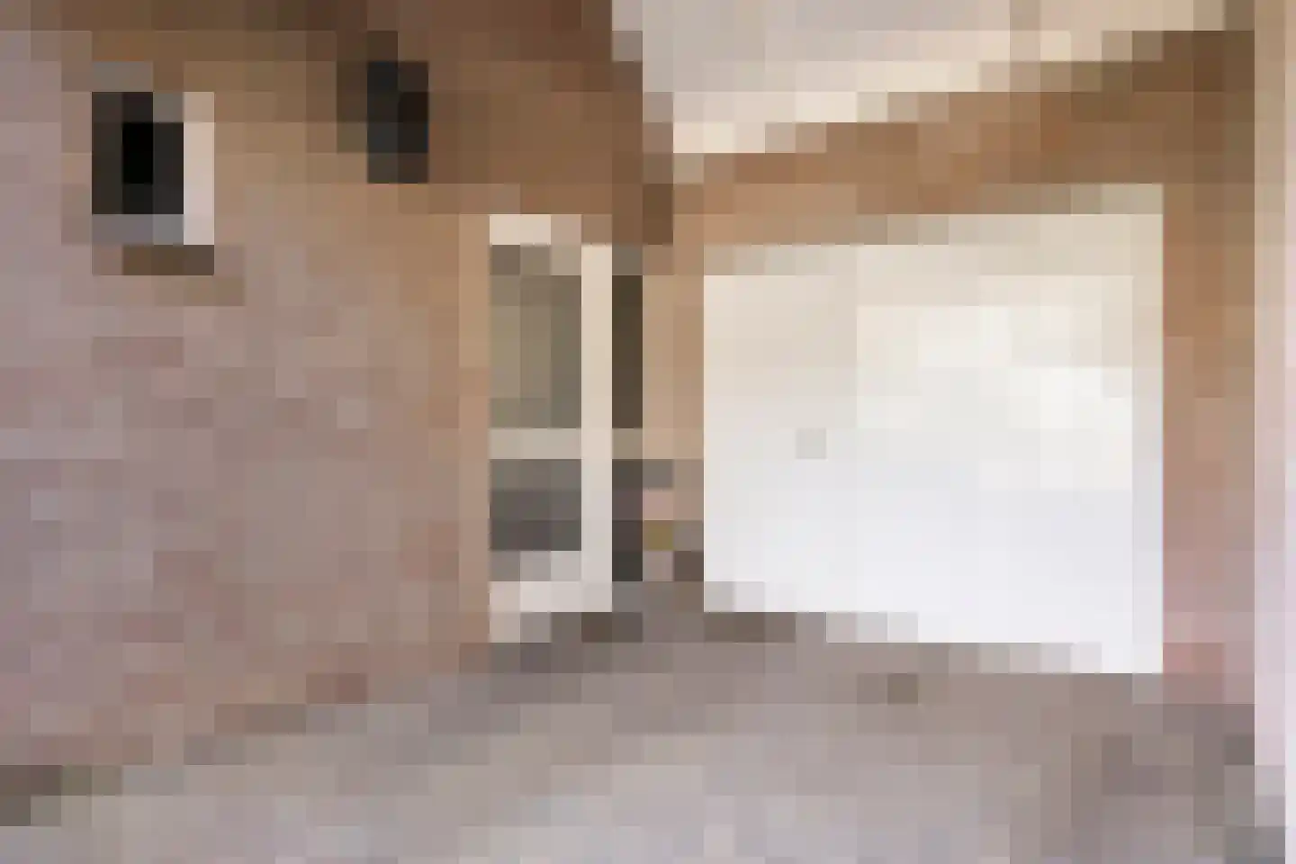 Eerste Morgen 13 's-Hertogenbosch thumbnail 18