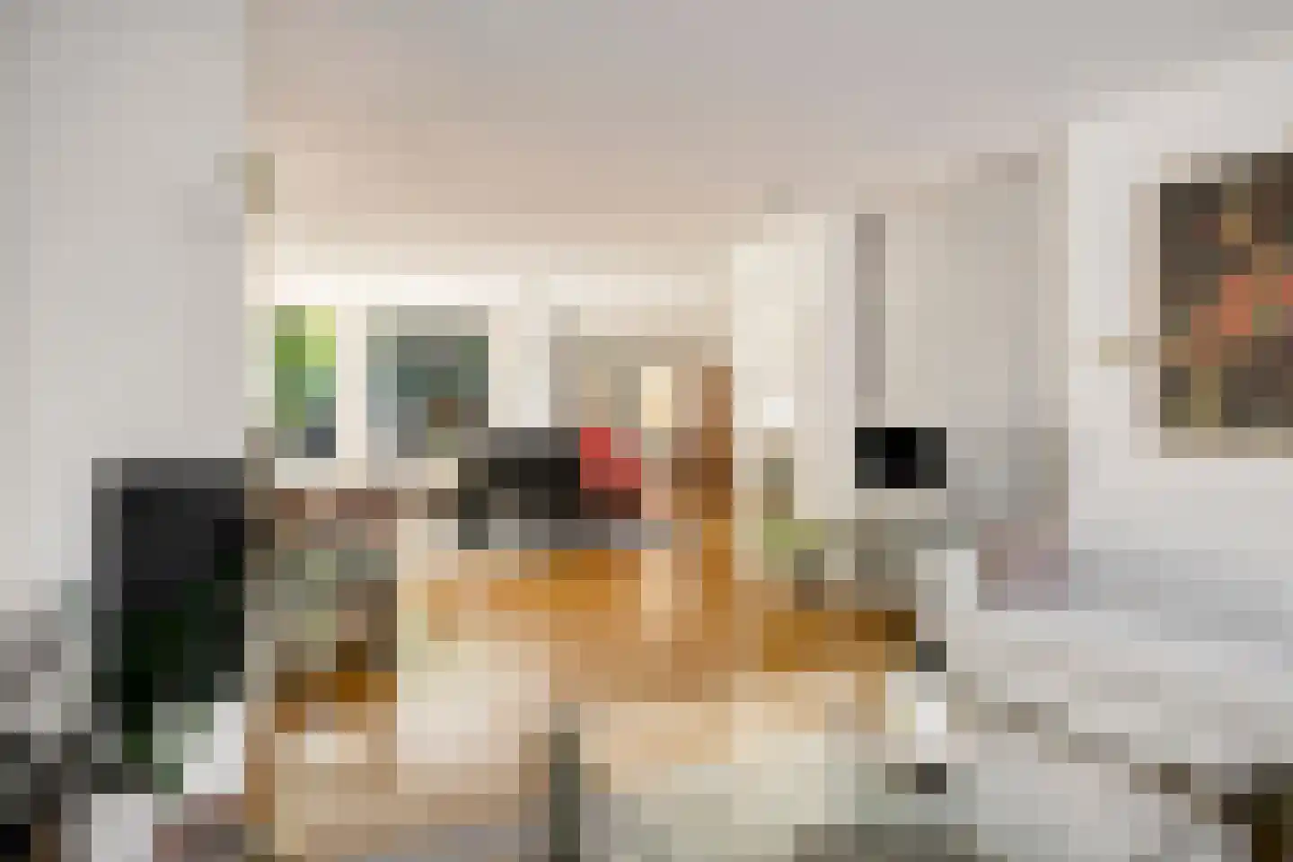 Eerste Morgen 13 's-Hertogenbosch thumbnail 4