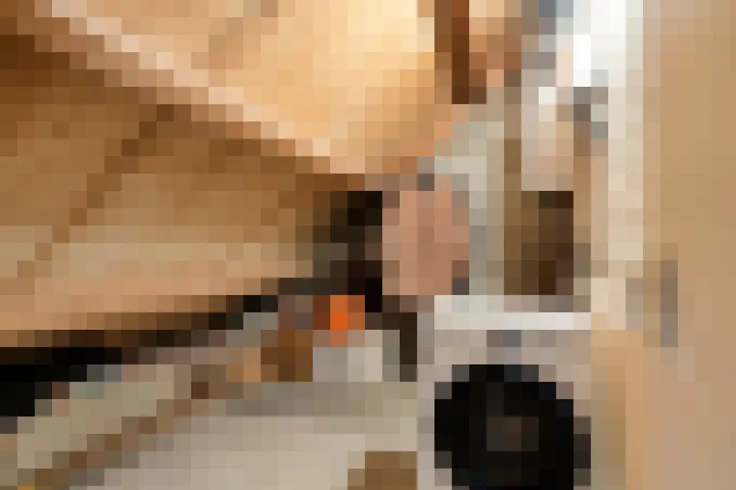 Eerste Morgen 13 's-Hertogenbosch thumbnail 56