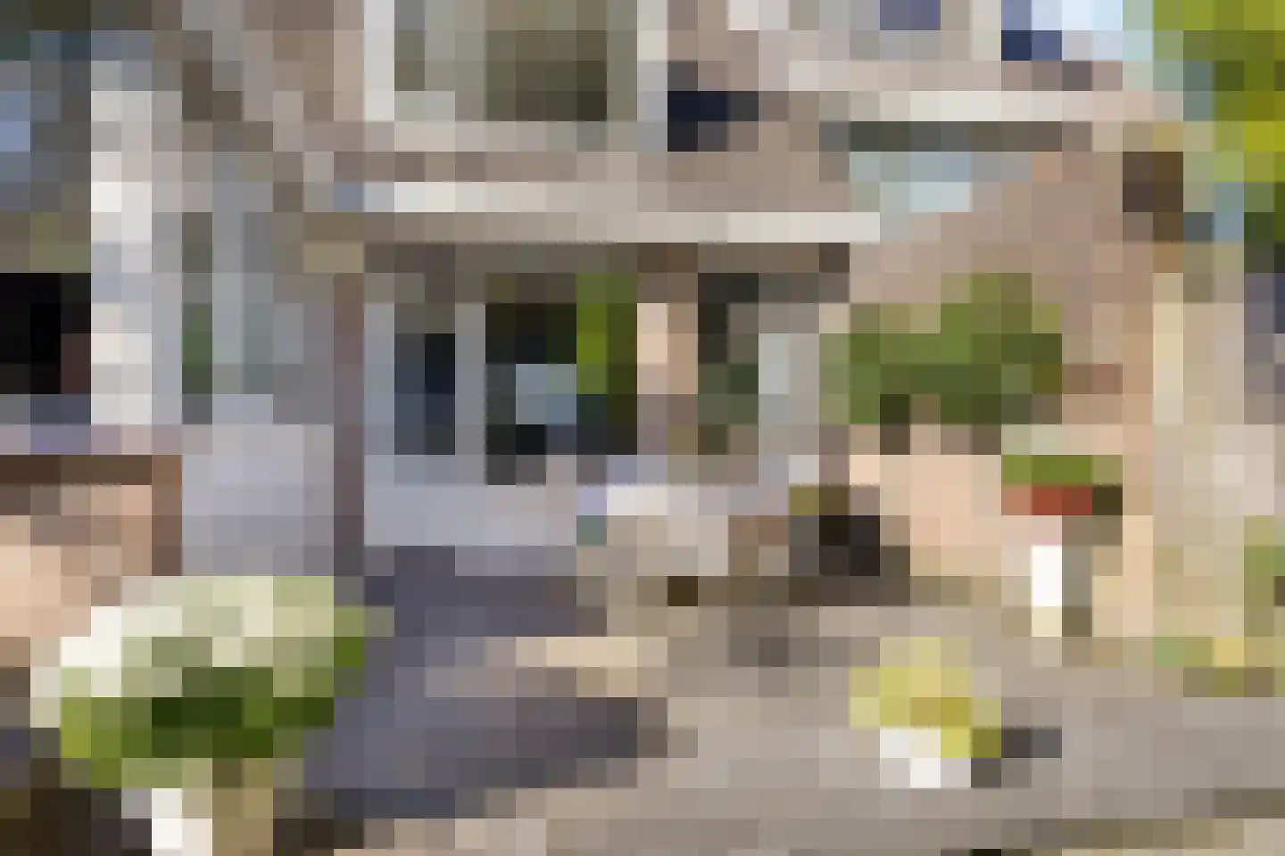 Eerste Morgen 13 's-Hertogenbosch thumbnail 57