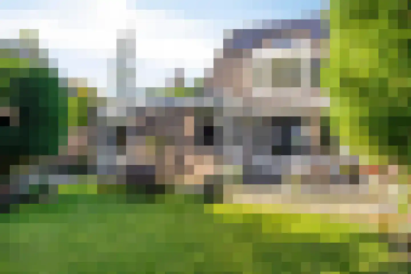 Eerste Morgen 13 's-Hertogenbosch thumbnail 58