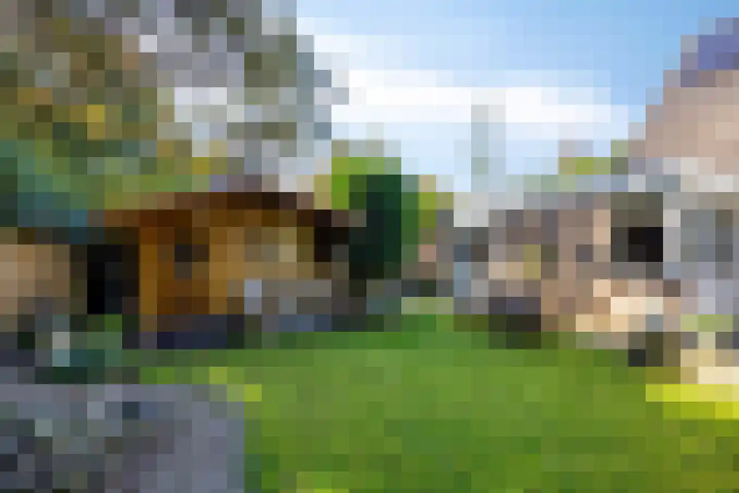 Eerste Morgen 13 's-Hertogenbosch thumbnail 60