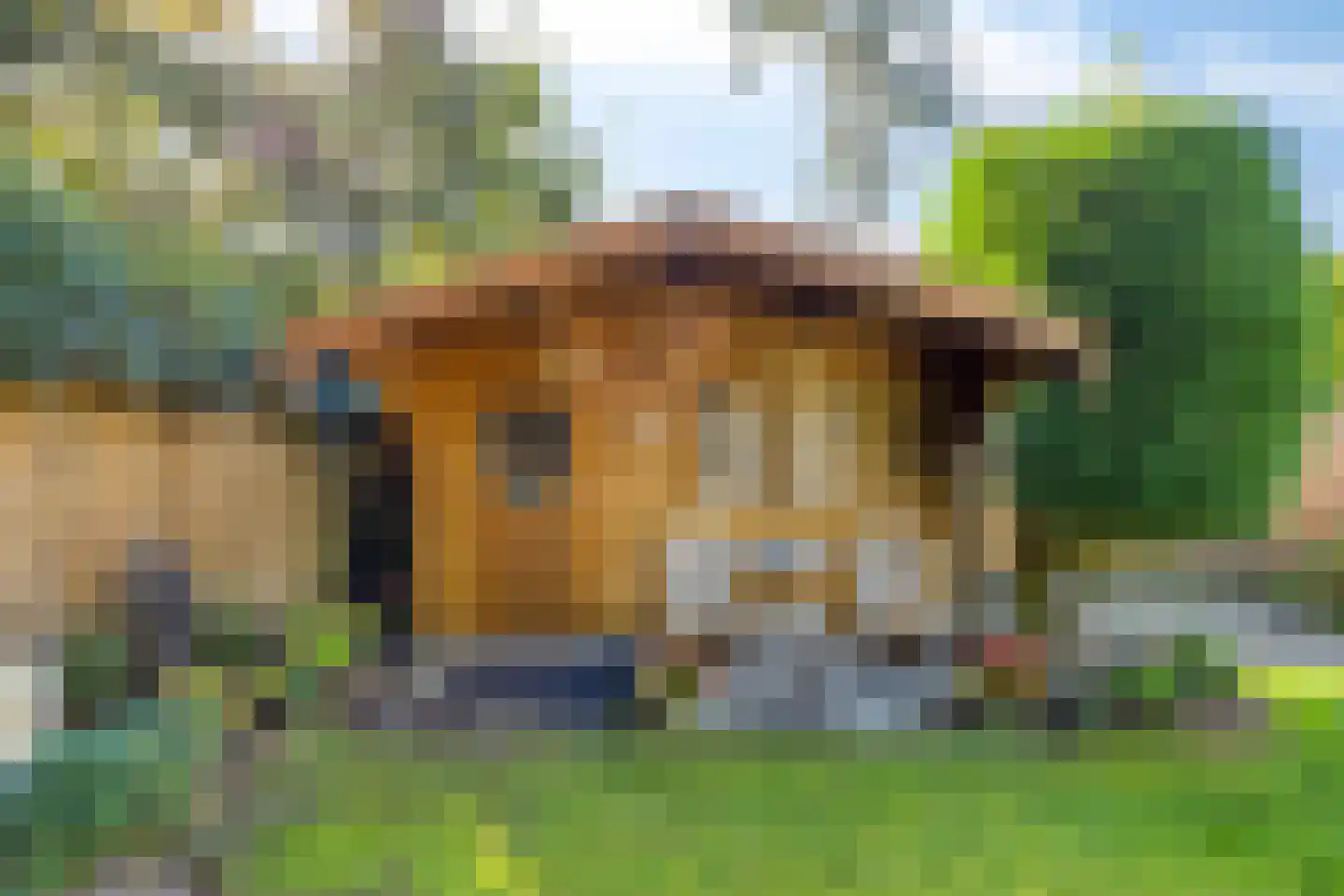 Eerste Morgen 13 's-Hertogenbosch thumbnail 61