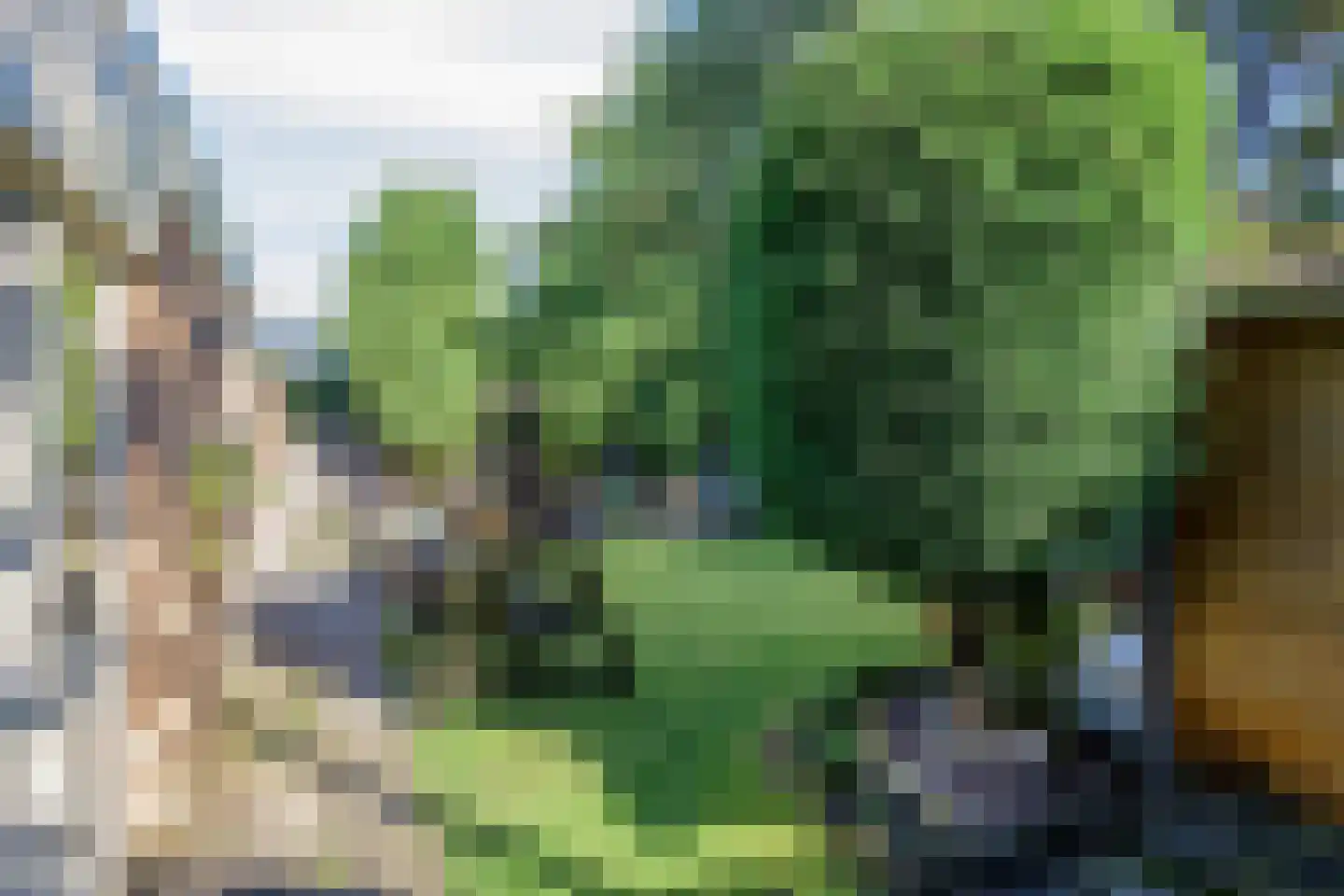 Eerste Morgen 13 's-Hertogenbosch thumbnail 64