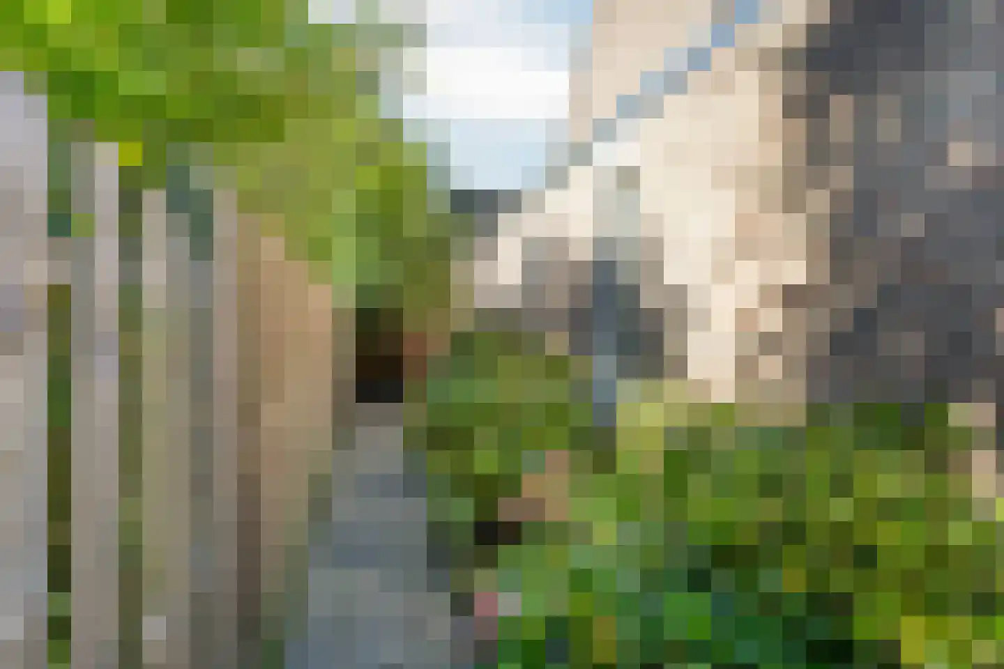 Eerste Morgen 13 's-Hertogenbosch thumbnail 65