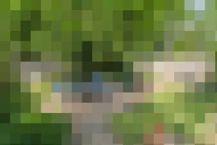 Eerste Morgen 18 's-Hertogenbosch thumbnail 10