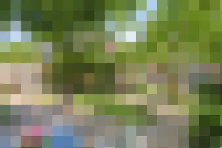 Eerste Morgen 18 's-Hertogenbosch thumbnail 12