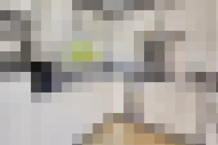 Eerste Morgen 18 's-Hertogenbosch thumbnail 15