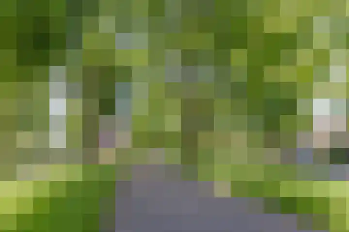Eerste Morgen 18 's-Hertogenbosch thumbnail 27