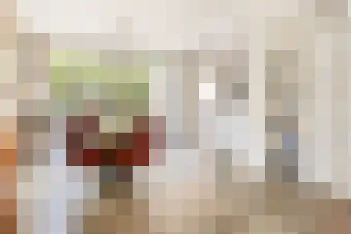 Eerste Morgen 18 's-Hertogenbosch thumbnail 6