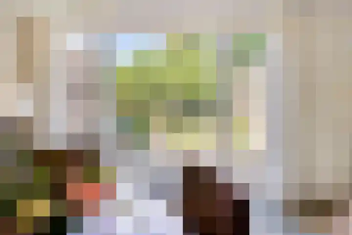 Eerste Morgen 18 's-Hertogenbosch thumbnail 7