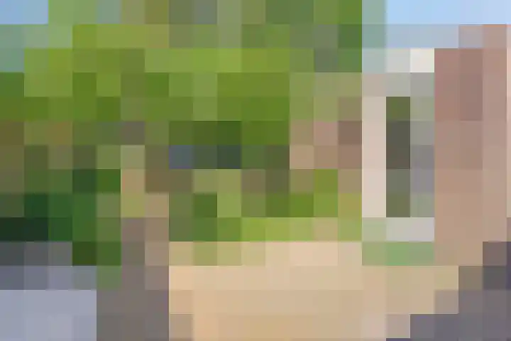 Eerste Morgen 18 's-Hertogenbosch thumbnail 8