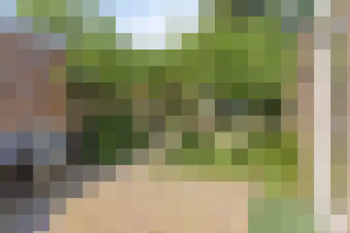Eerste Morgen 18 's-Hertogenbosch thumbnail 9