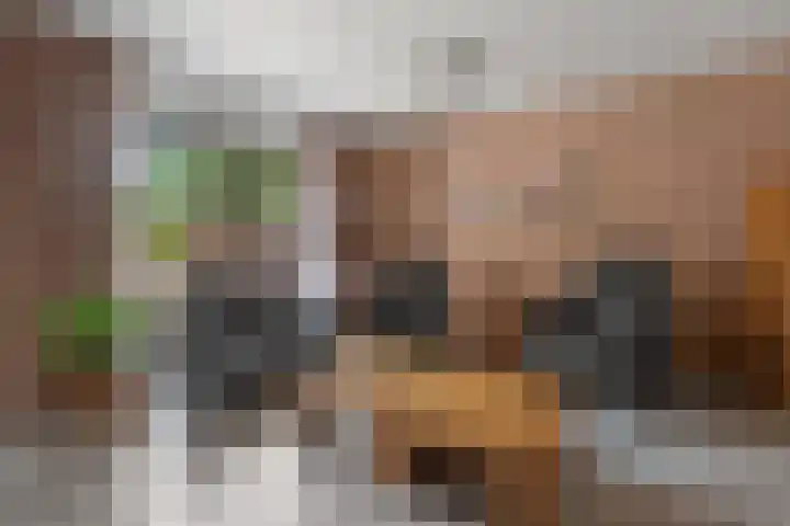 Eerste Morgen 47 's-Hertogenbosch thumbnail 10