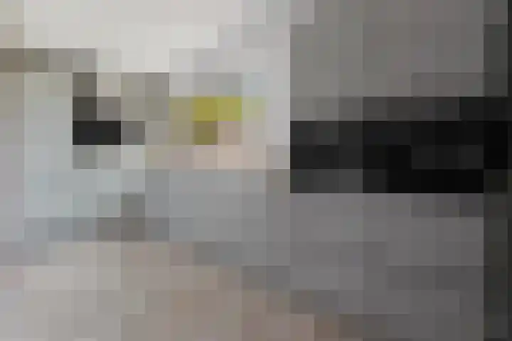 Eerste Morgen 47 's-Hertogenbosch thumbnail 13