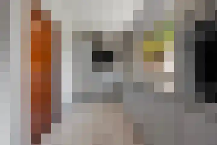 Eerste Morgen 47 's-Hertogenbosch thumbnail 14
