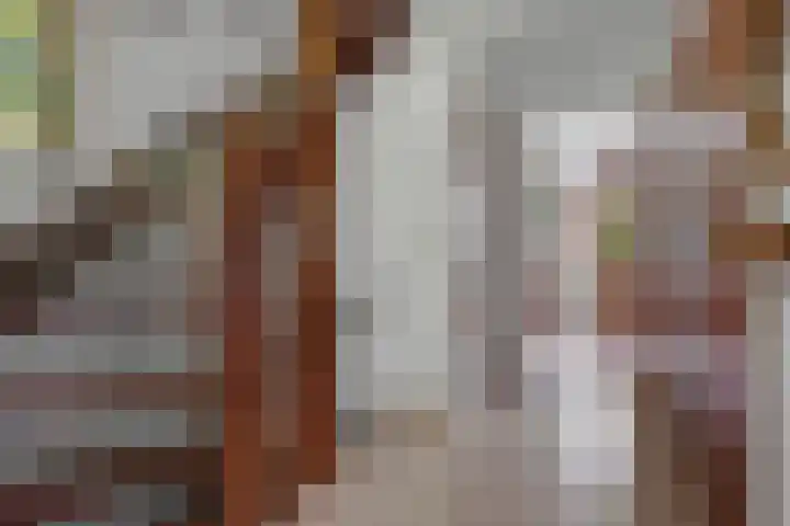 Eerste Morgen 47 's-Hertogenbosch thumbnail 15
