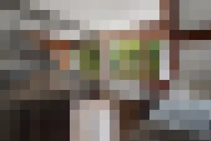 Eerste Morgen 47 's-Hertogenbosch thumbnail 17