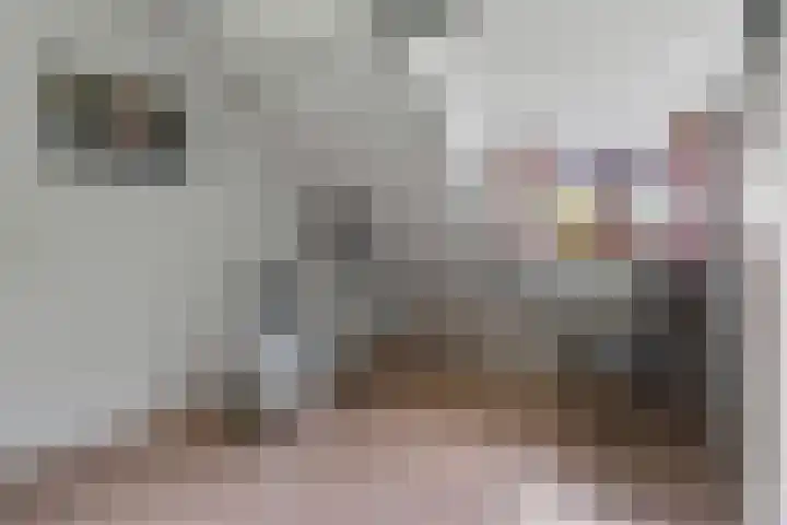 Eerste Morgen 47 's-Hertogenbosch thumbnail 21