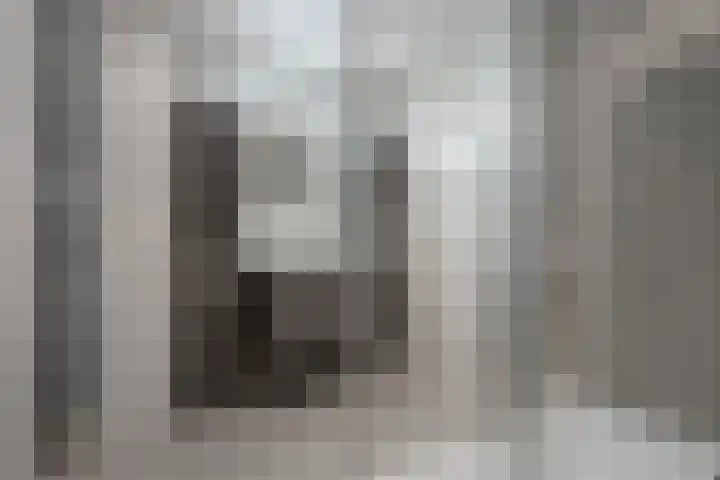 Eerste Morgen 47 's-Hertogenbosch thumbnail 24