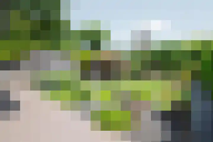Eerste Morgen 47 's-Hertogenbosch thumbnail 30