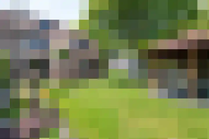 Eerste Morgen 47 's-Hertogenbosch thumbnail 31