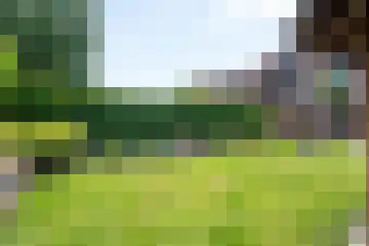 Eerste Morgen 47 's-Hertogenbosch thumbnail 32