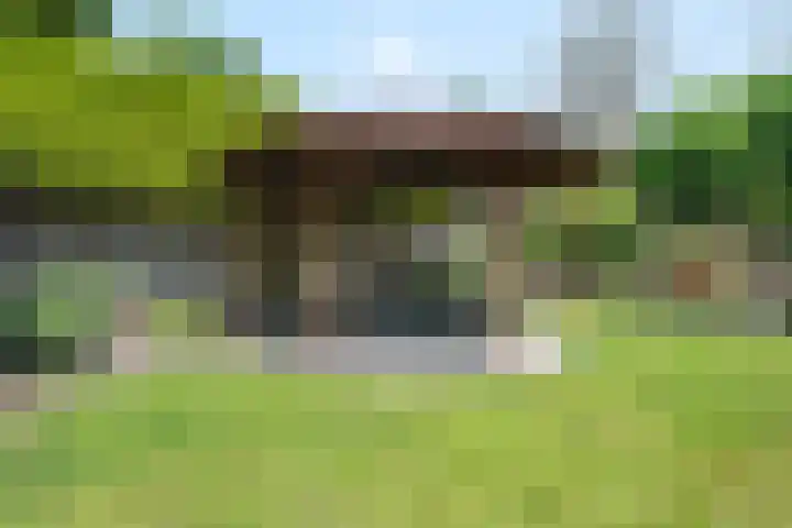 Eerste Morgen 47 's-Hertogenbosch thumbnail 33