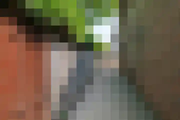 Eerste Morgen 47 's-Hertogenbosch thumbnail 35