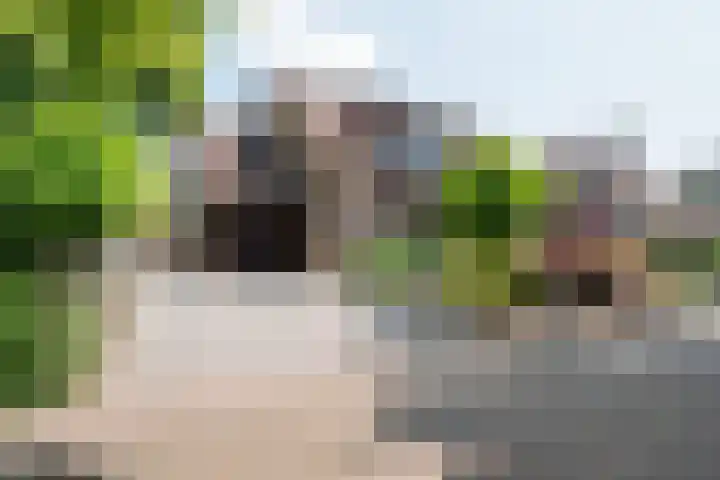 Eerste Morgen 47 's-Hertogenbosch thumbnail 38