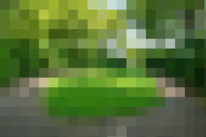 Eerste Morgen 47 's-Hertogenbosch thumbnail 39