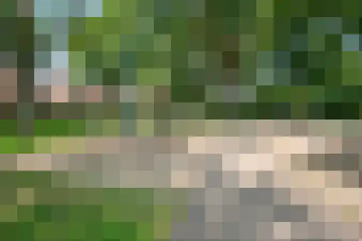 Eerste Morgen 47 's-Hertogenbosch thumbnail 40