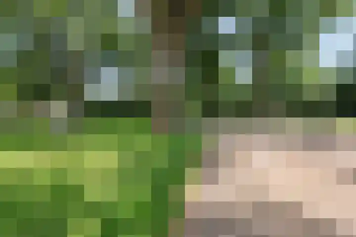 Eerste Morgen 47 's-Hertogenbosch thumbnail 41