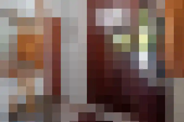 Eerste Morgen 47 's-Hertogenbosch thumbnail 5