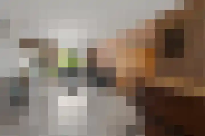 Eerste Morgen 47 's-Hertogenbosch thumbnail 7