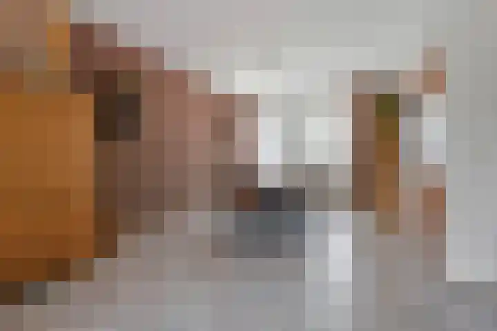 Eerste Morgen 47 's-Hertogenbosch thumbnail 8