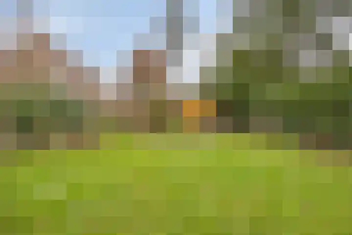 Eerste Morgen 7 's-Hertogenbosch thumbnail 20
